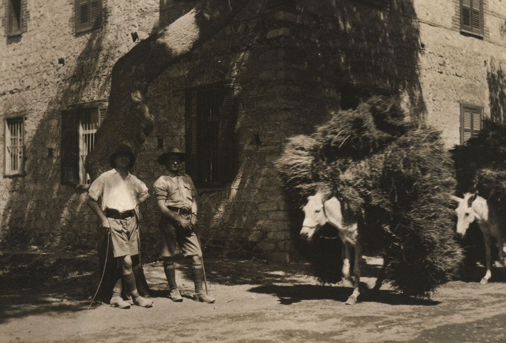 Photo from page 19 of album WWI Photograph Album - Medical Staff &amp; Nurses: Egypt and England