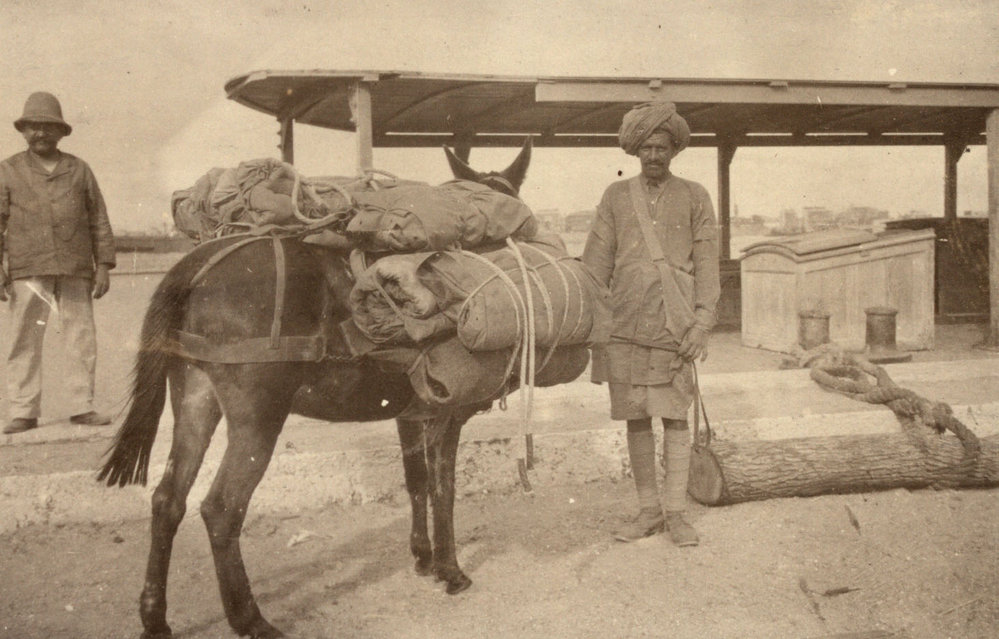 Photo from page 21 of album WWI Photograph Album - Medical Staff &amp; Nurses: Egypt and England