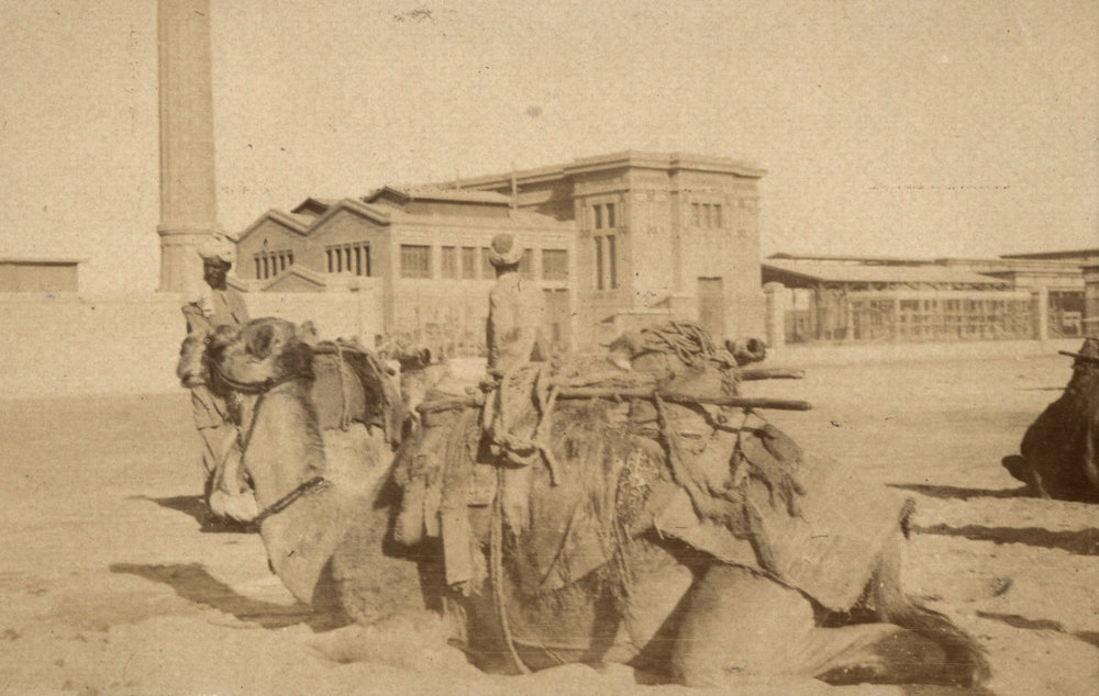 Photo from page 21 of album WWI Photograph Album - Medical Staff &amp; Nurses: Egypt and England