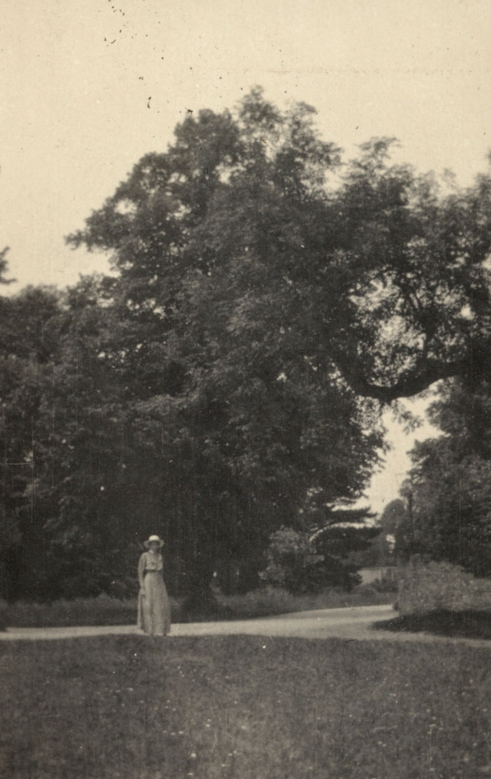 Photo from page 24 of album WWI Photograph Album - Medical Staff &amp; Nurses: Egypt and England