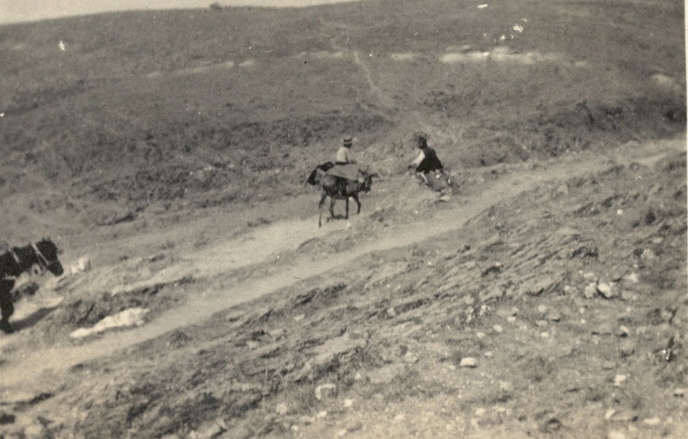 Photo from page 27 of album WWI Photograph Album - Medical Staff &amp; Nurses: Egypt and England