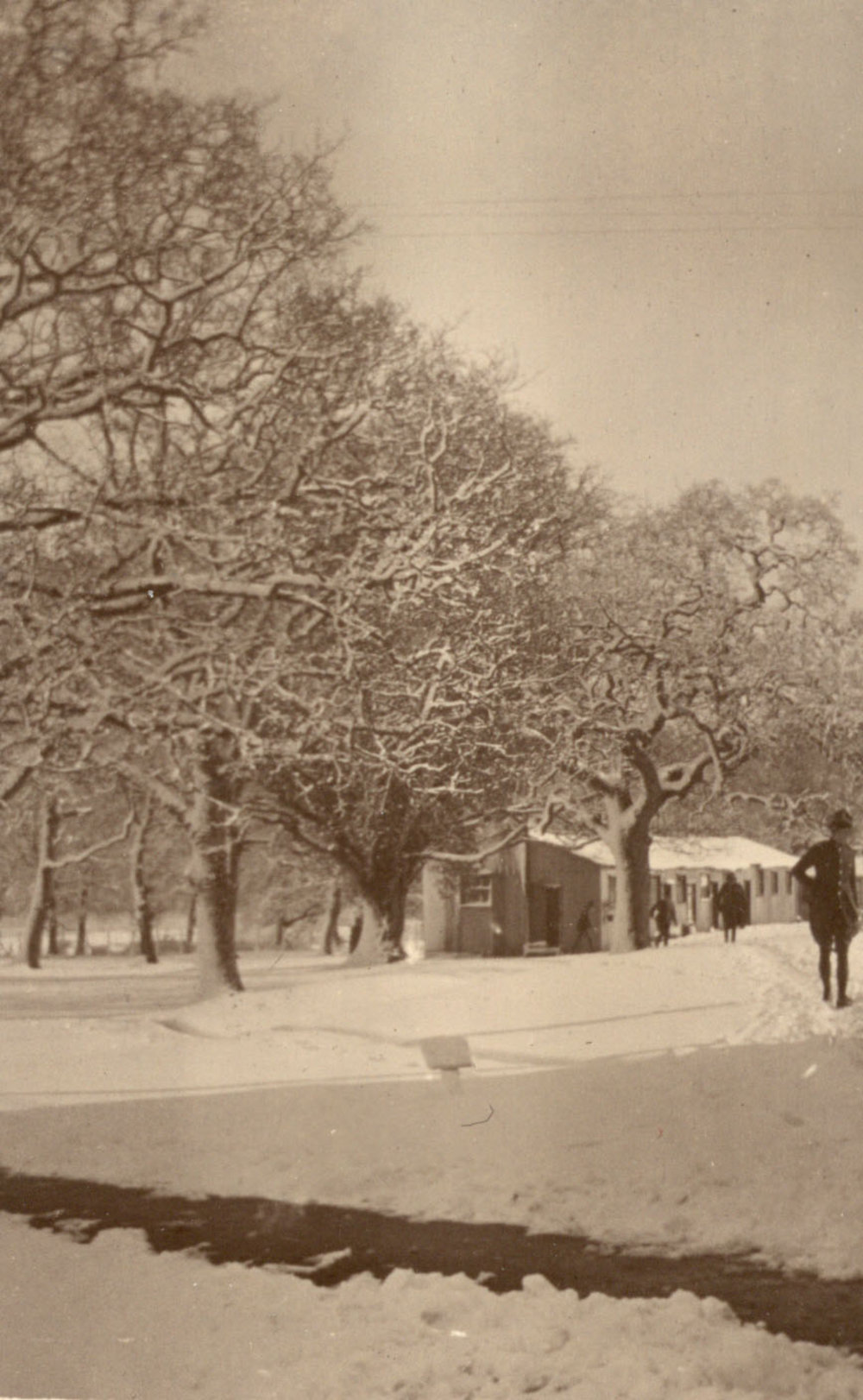 Photo from page 36 of album WWI Photograph Album - Medical Staff &amp; Nurses: Egypt and England