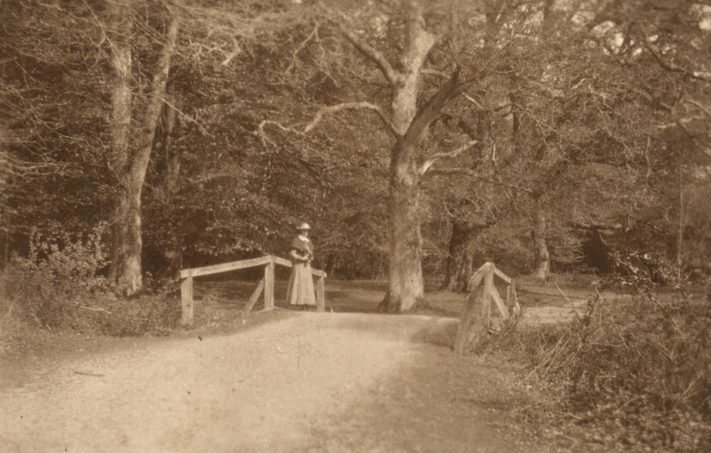 Photo from page 40 of album WWI Photograph Album - Medical Staff &amp; Nurses: Egypt and England