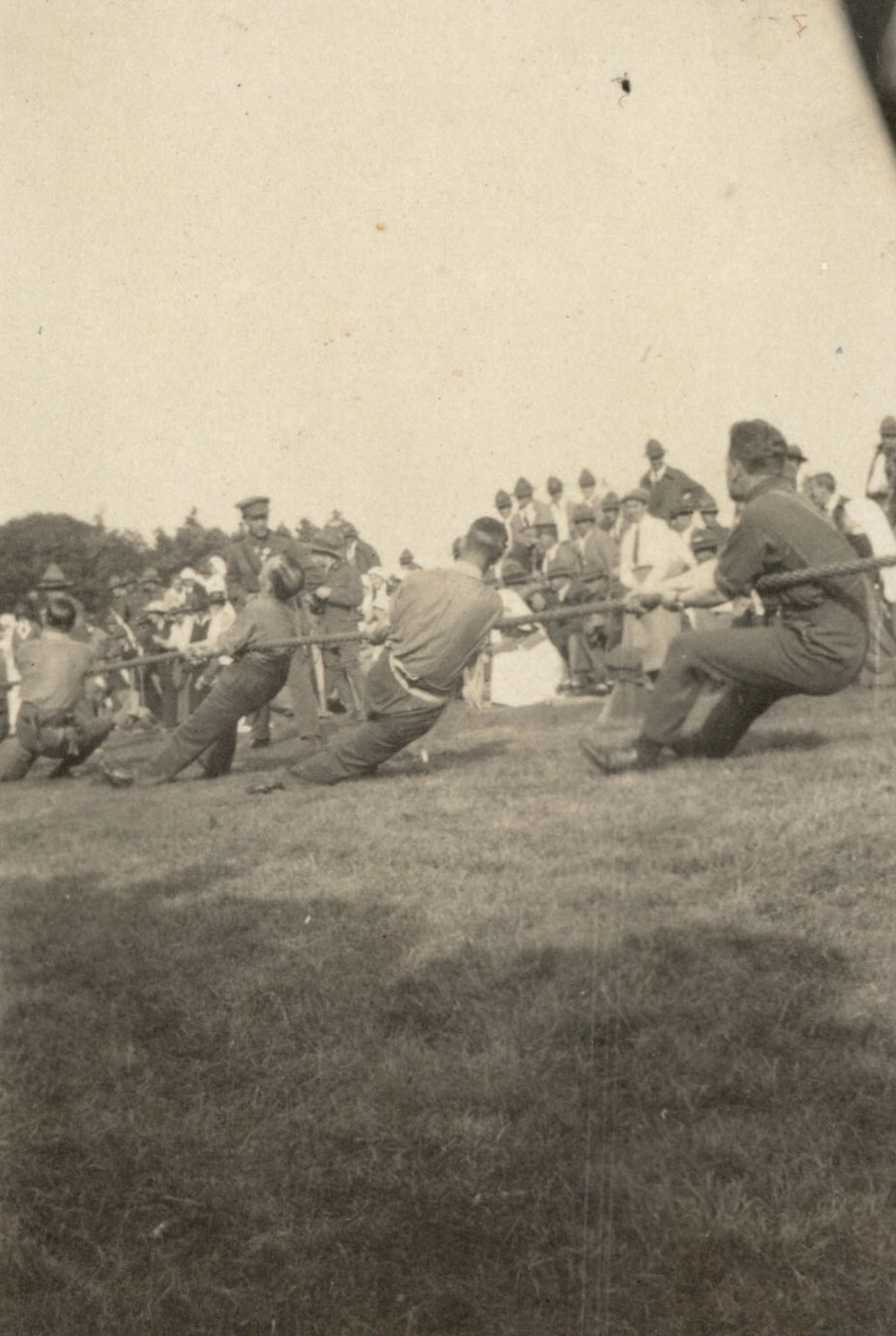 Photo from page 40 of album WWI Photograph Album - Medical Staff &amp; Nurses: Egypt and England