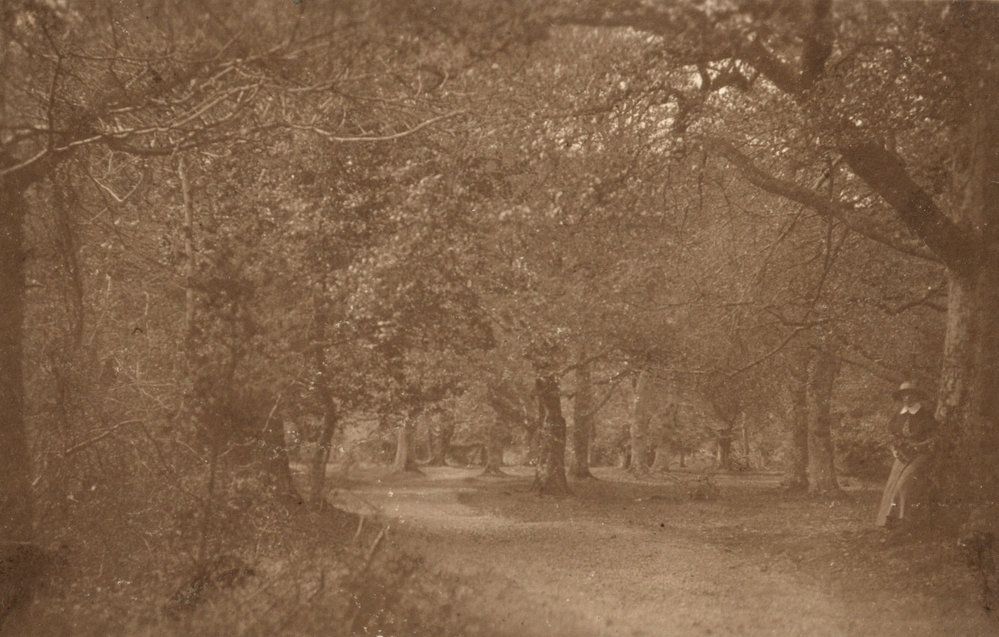 Photo from page 40 of album WWI Photograph Album - Medical Staff &amp; Nurses: Egypt and England