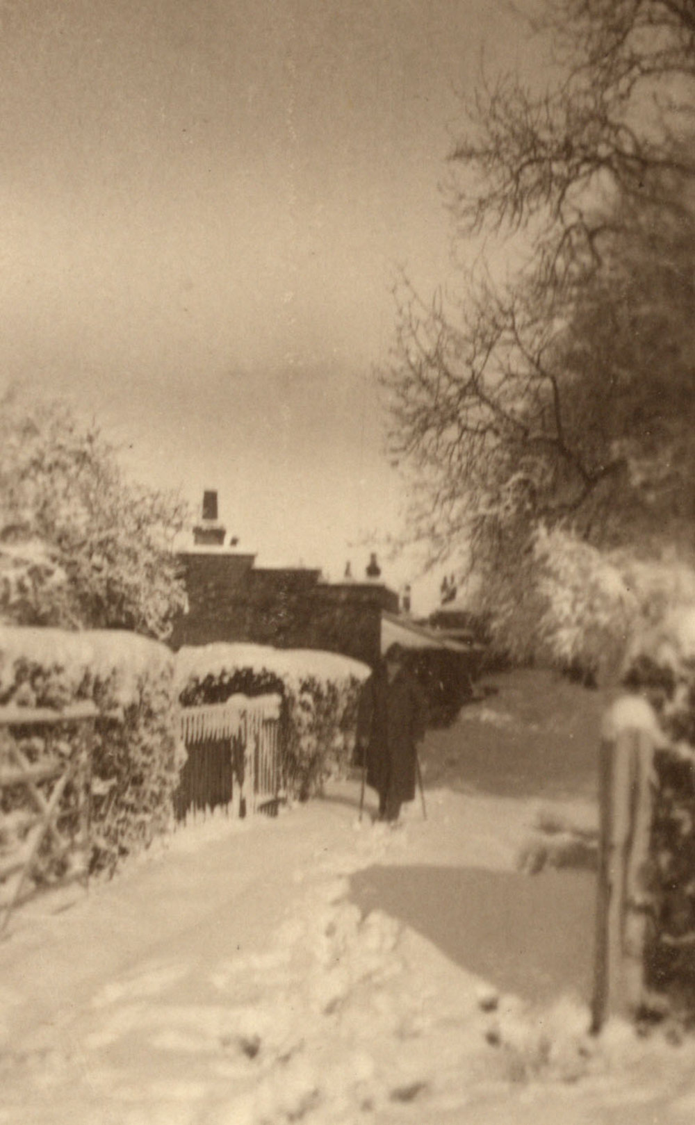 Photo from page 43 of album WWI Photograph Album - Medical Staff &amp; Nurses: Egypt and England