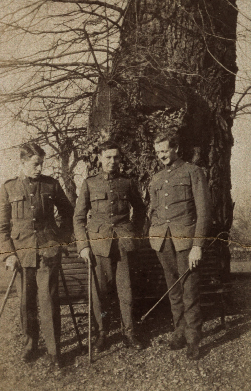 Photo from page 45 of album WWI Photograph Album - Medical Staff &amp; Nurses: Egypt and England