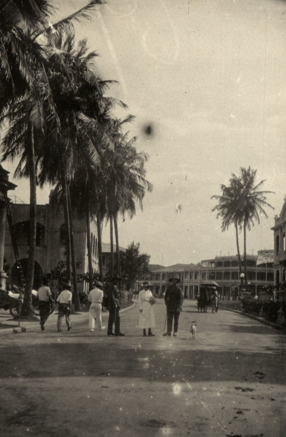 Photo from page 48 of album WWI Photograph Album - Medical Staff &amp; Nurses: Egypt and England