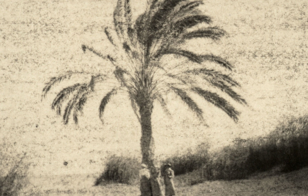 Photo from page 49 of album WWI Photograph Album - Medical Staff &amp; Nurses: Egypt and England