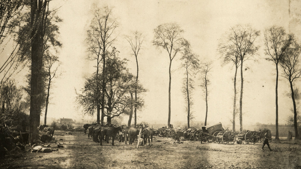 Photo from page 12 of album WWI Photograph Album - Western Front