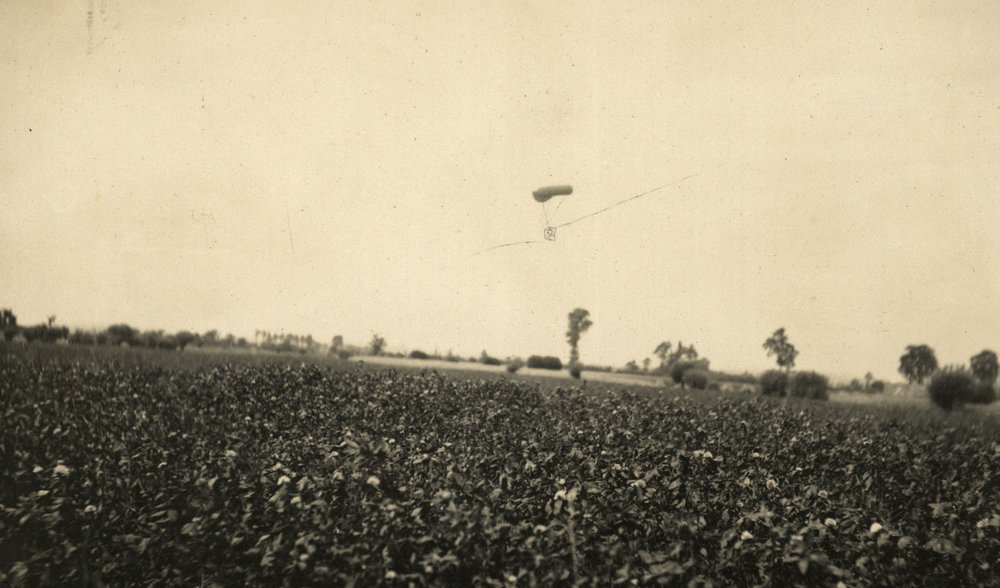 Photo from page 12 of album WWI Photograph Album - Western Front