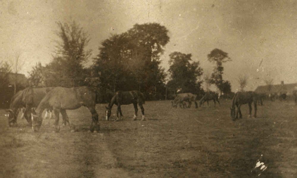 Photo from page 14 of album WWI Photograph Album - Western Front