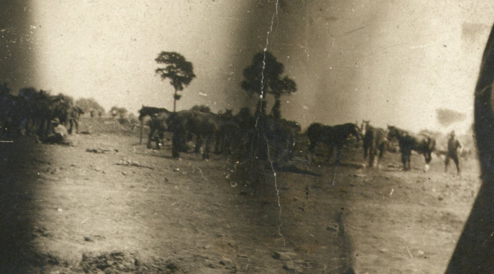 Photo from page 14 of album WWI Photograph Album - Western Front