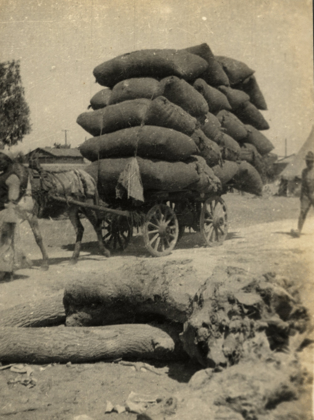 Photo from page 05 of album WWI Photograph Album - Egypt &amp; Gallipoli