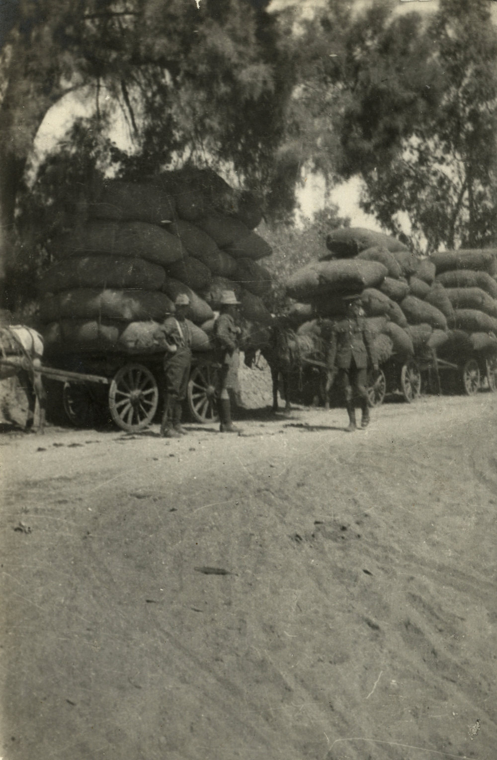 Photo from page 05 of album WWI Photograph Album - Egypt &amp; Gallipoli