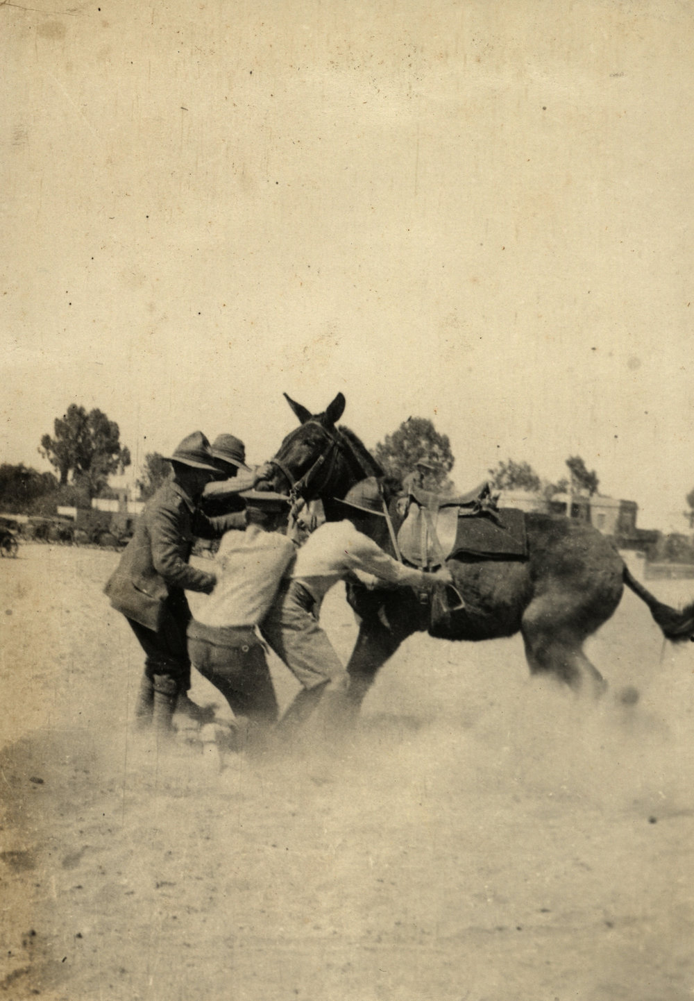 Photo from page 05 of album WWI Photograph Album - Egypt &amp; Gallipoli