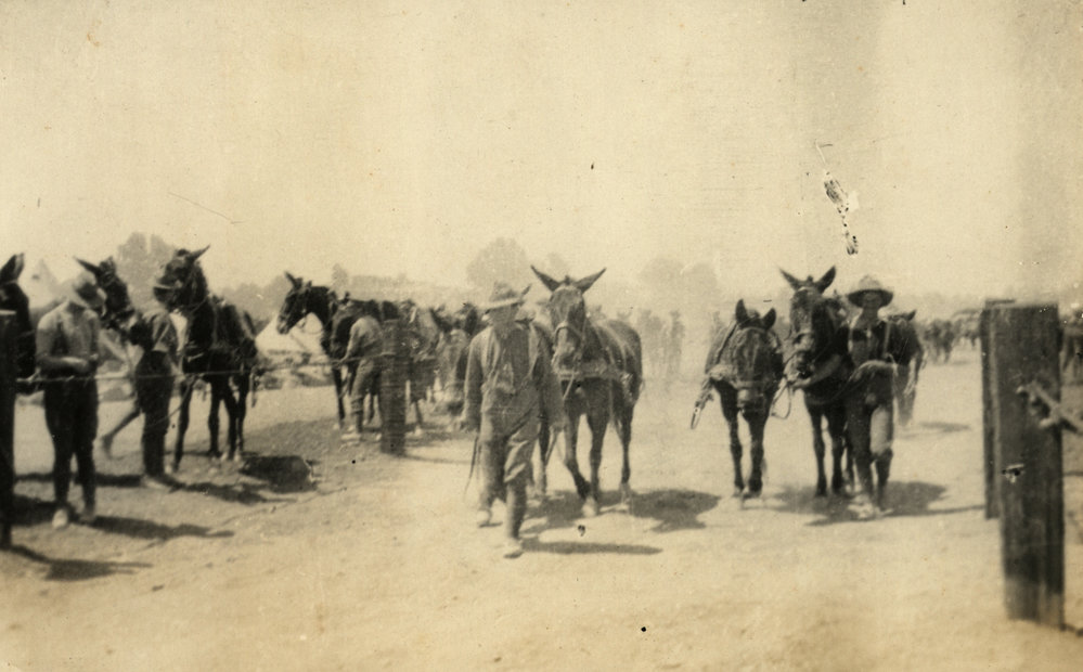 Photo from page 06 of album WWI Photograph Album - Egypt &amp; Gallipoli