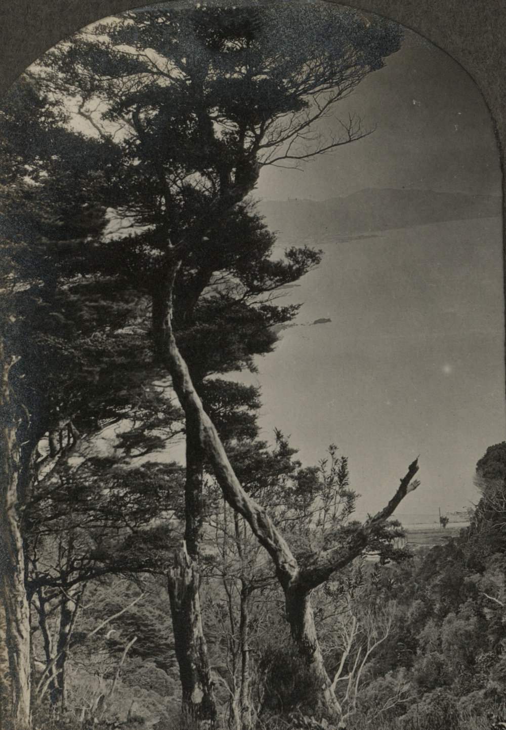 Photo from page 03 of album WWI Photograph Album - Nurses and Medical Staff in New Zealand
