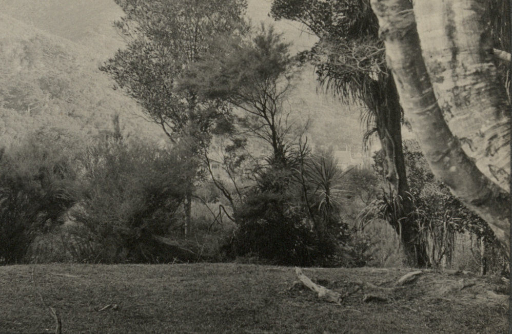 Photo from page 05 of album WWI Photograph Album - Nurses and Medical Staff in New Zealand