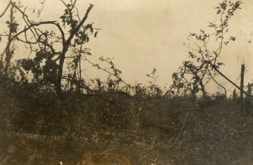 Photo from page 13 of album WWI Photograph Album - New Zealand Nurses &amp; Medical Staff