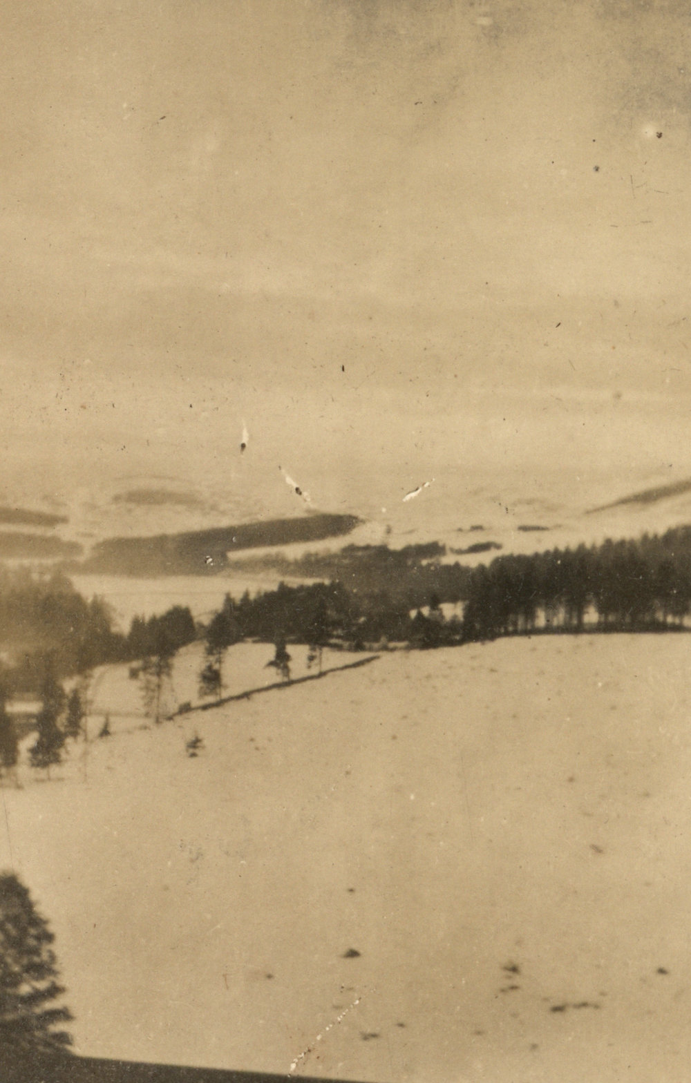 Photo from page 14 of album WWI Photograph Album - New Zealand Nurses &amp; Medical Staff