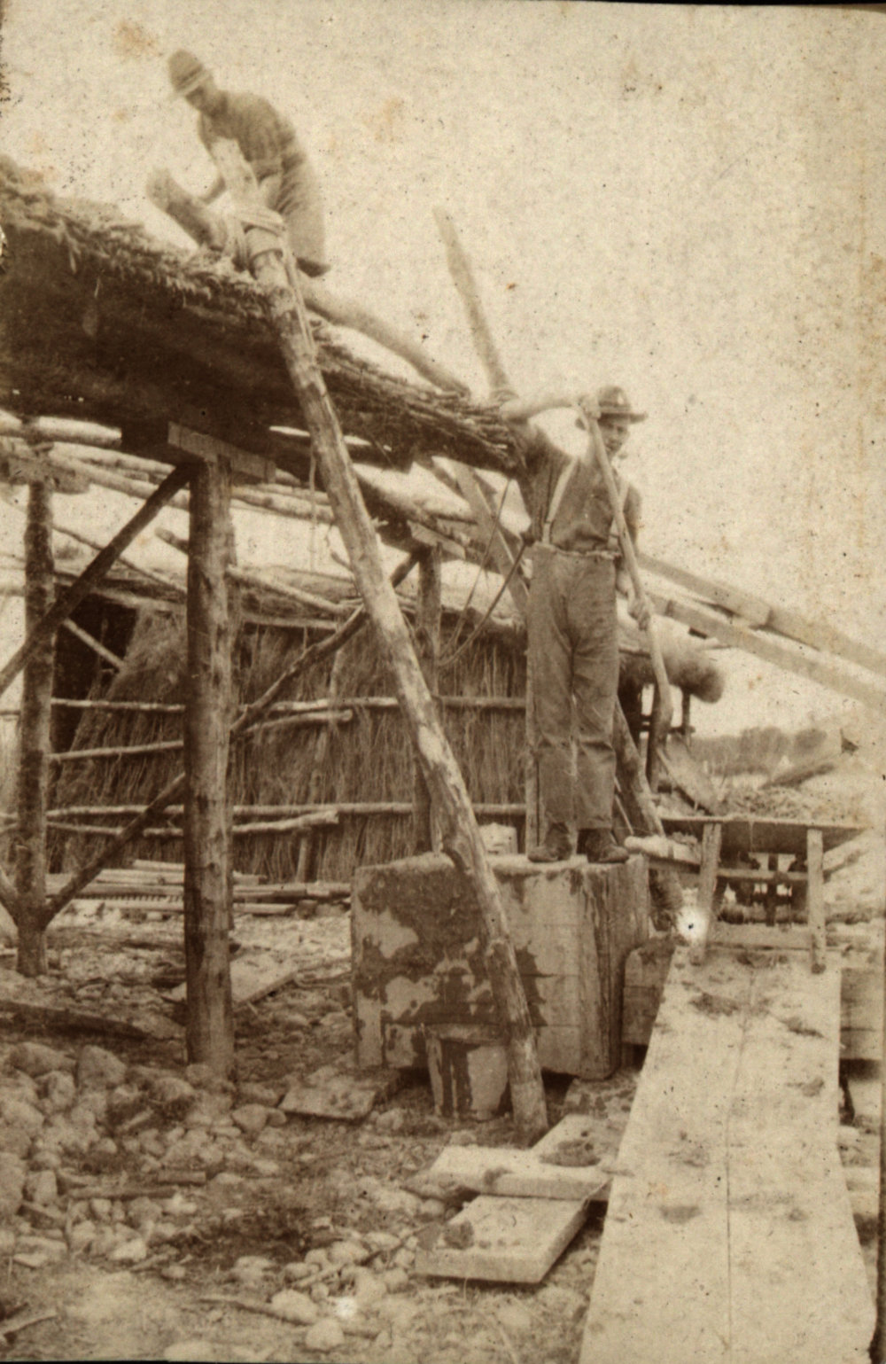 Photo from page 04 of album