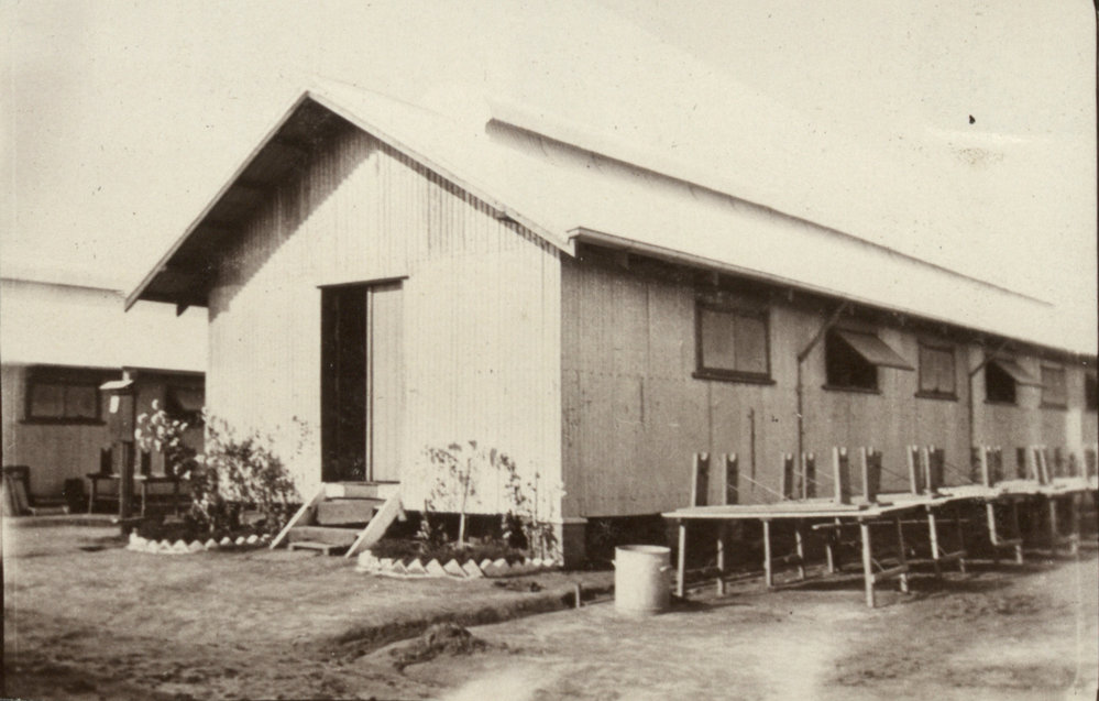 Photo from page 06 of album