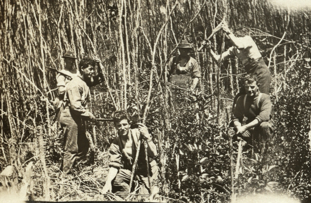 Photo from page 06 of album