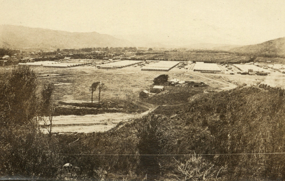 Photo from page 06 of album