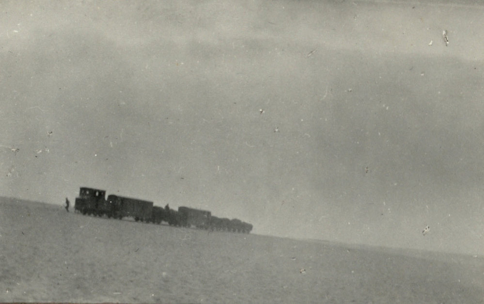 Photo from page 03 of album WWI Photograph Album - Egypt.
