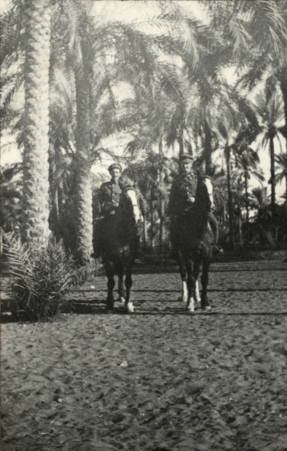 Photo from page 06 of album WWI Photograph Album - Egypt.