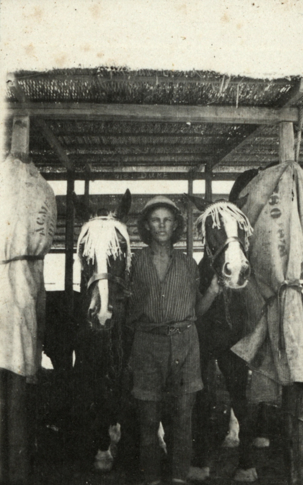 Photo from page 09 of album WWI Photograph Album - Egypt.