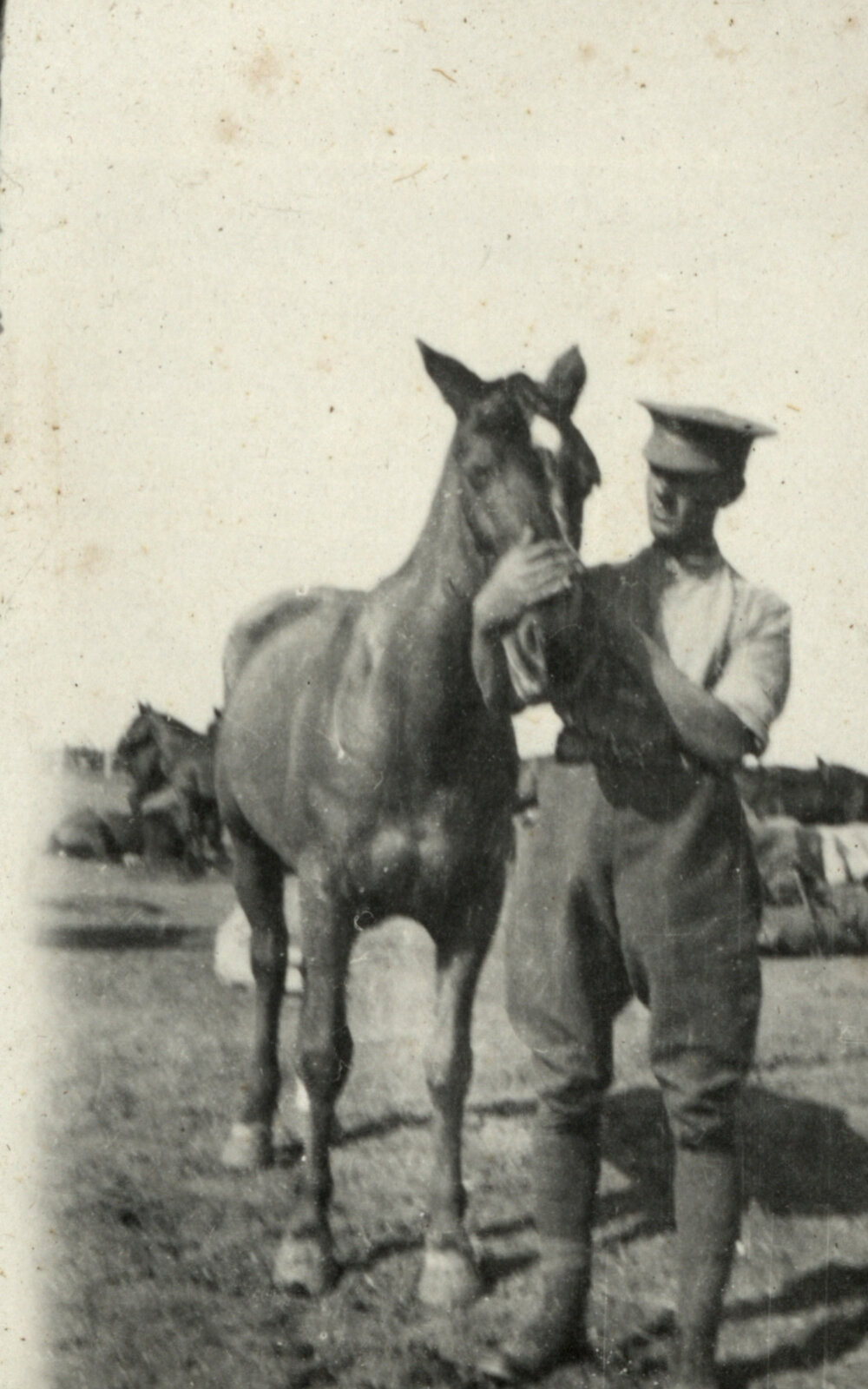 Photo from page 09 of album WWI Photograph Album - Egypt.