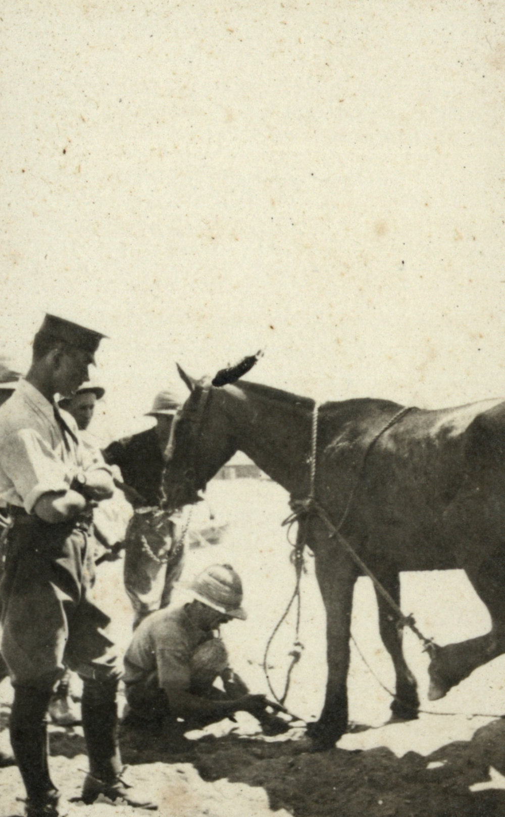 Photo from page 11 of album WWI Photograph Album - Egypt.