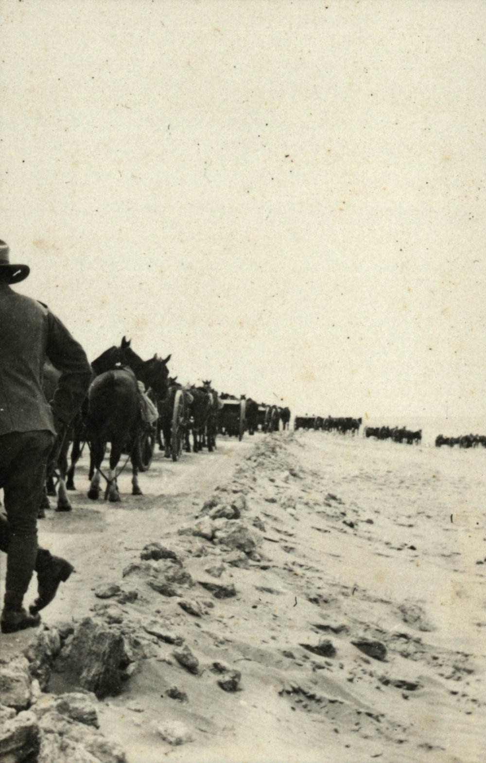 Photo from page 12 of album WWI Photograph Album - Egypt.