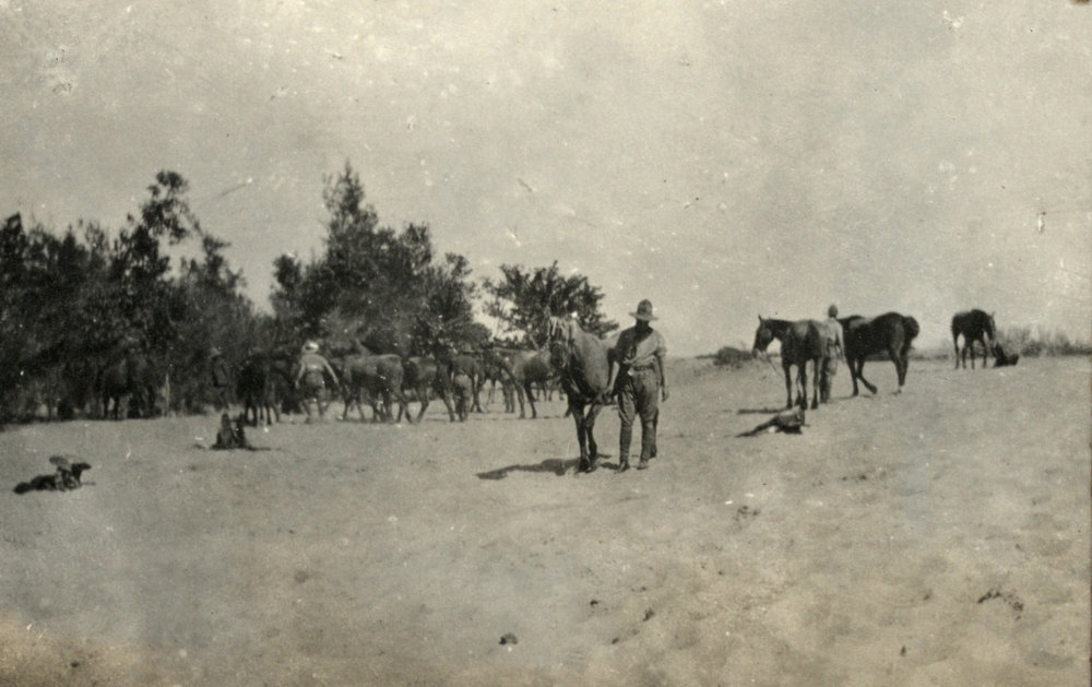 Photo from page 13 of album WWI Photograph Album - Egypt.
