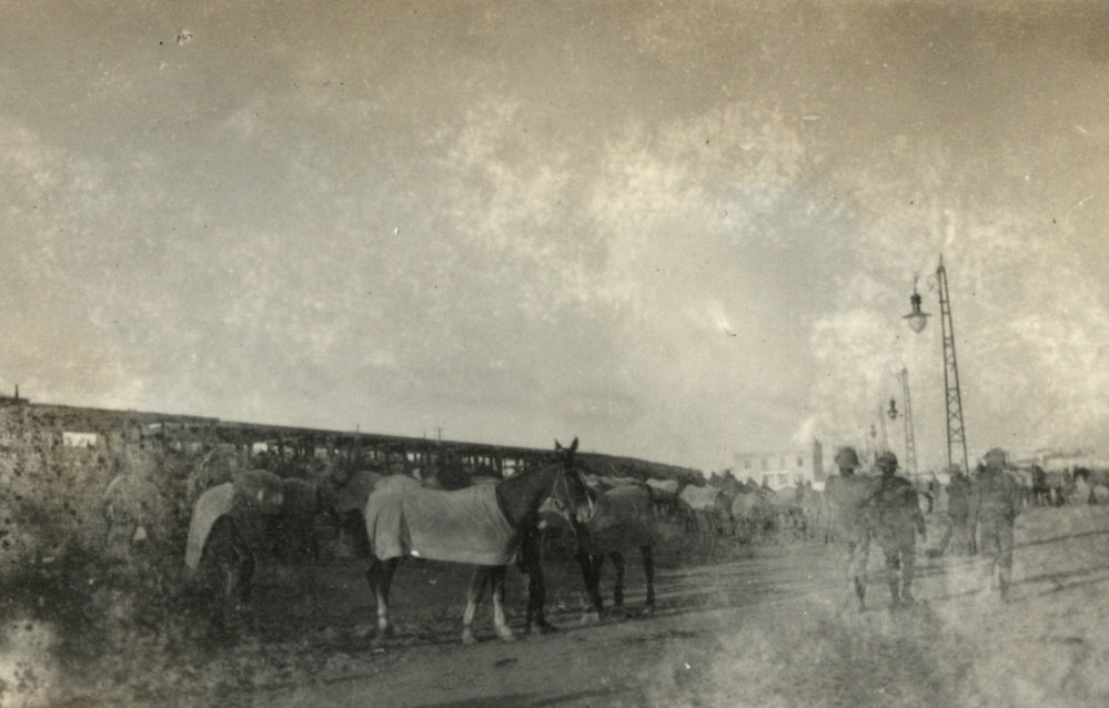 Photo from page 13 of album WWI Photograph Album - Egypt.