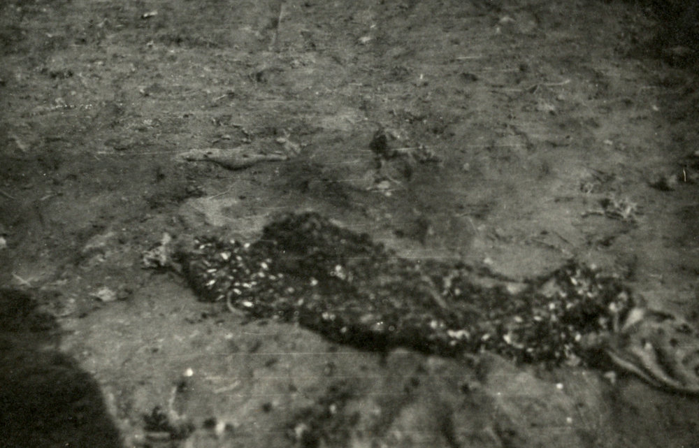 Photo from page 03 of album WWI Photograph Album - Gallipoli, Egypt, Western Front and England.