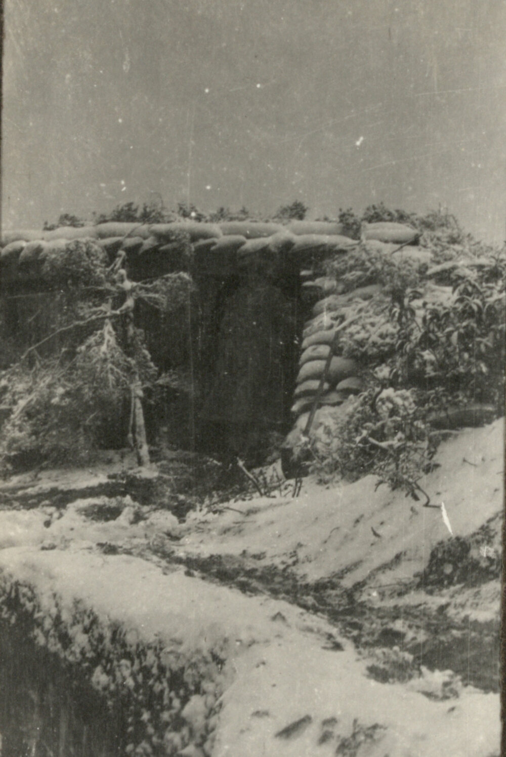 Photo from page 05 of album WWI Photograph Album - Gallipoli, Egypt, Western Front and England.
