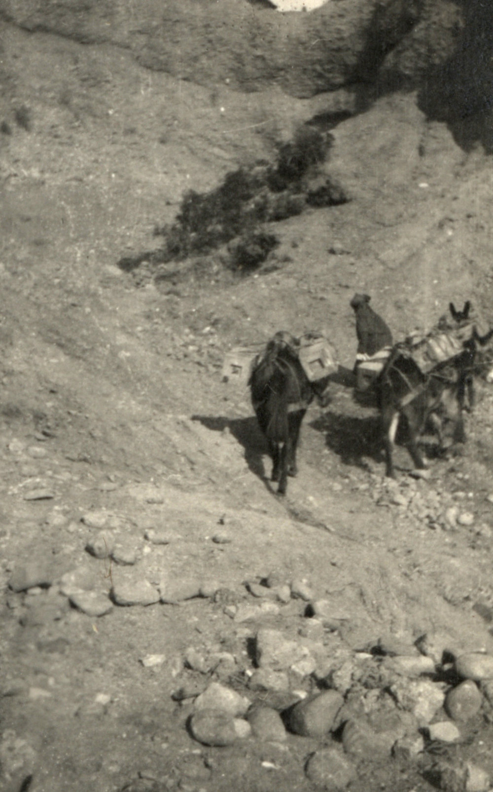 Photo from page 08 of album WWI Photograph Album - Gallipoli, Egypt, Western Front and England.