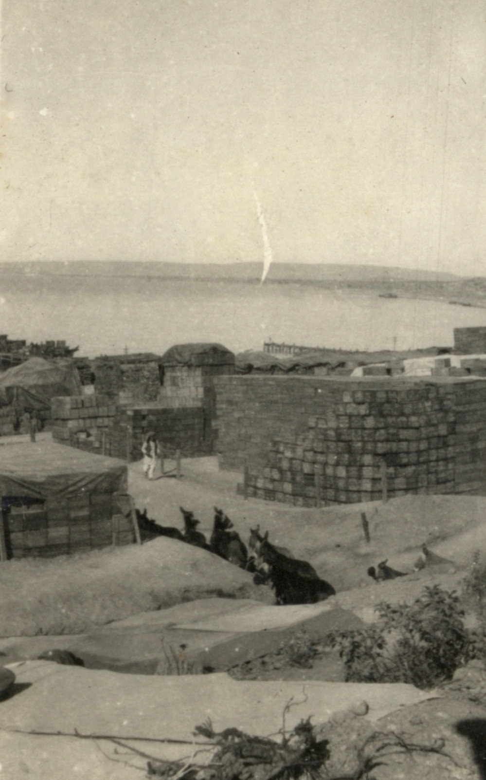 Photo from page 08 of album WWI Photograph Album - Gallipoli, Egypt, Western Front and England.