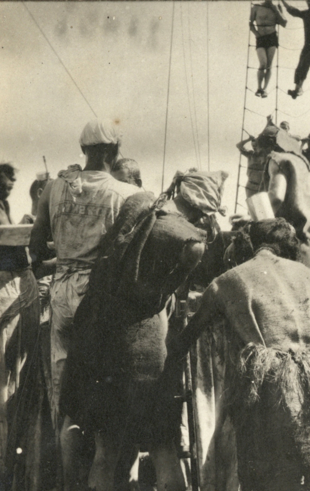 Photo from page 14 of album WWI Photograph Album - Gallipoli, Egypt, Western Front and England.