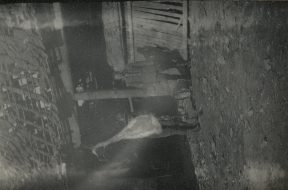 Photo from page 05 of album WWI Photograph Album - Western Front.