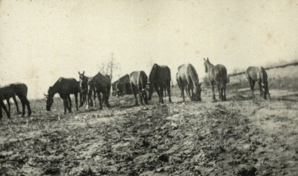 Photo from page 09 of album WWI Photograph Album - Western Front.