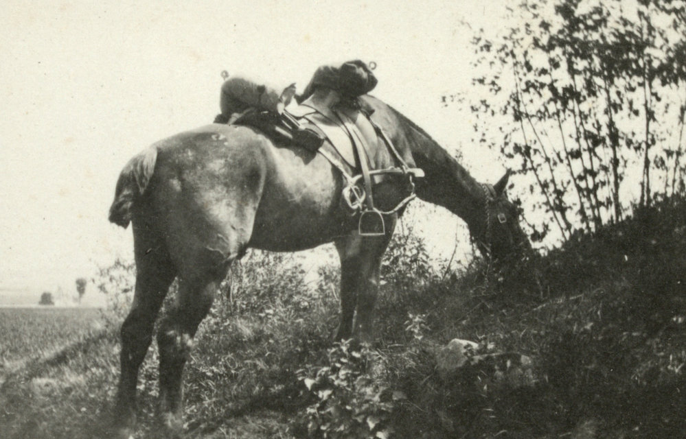 Photo from page 10 of album WWI Photograph Album - Western Front.
