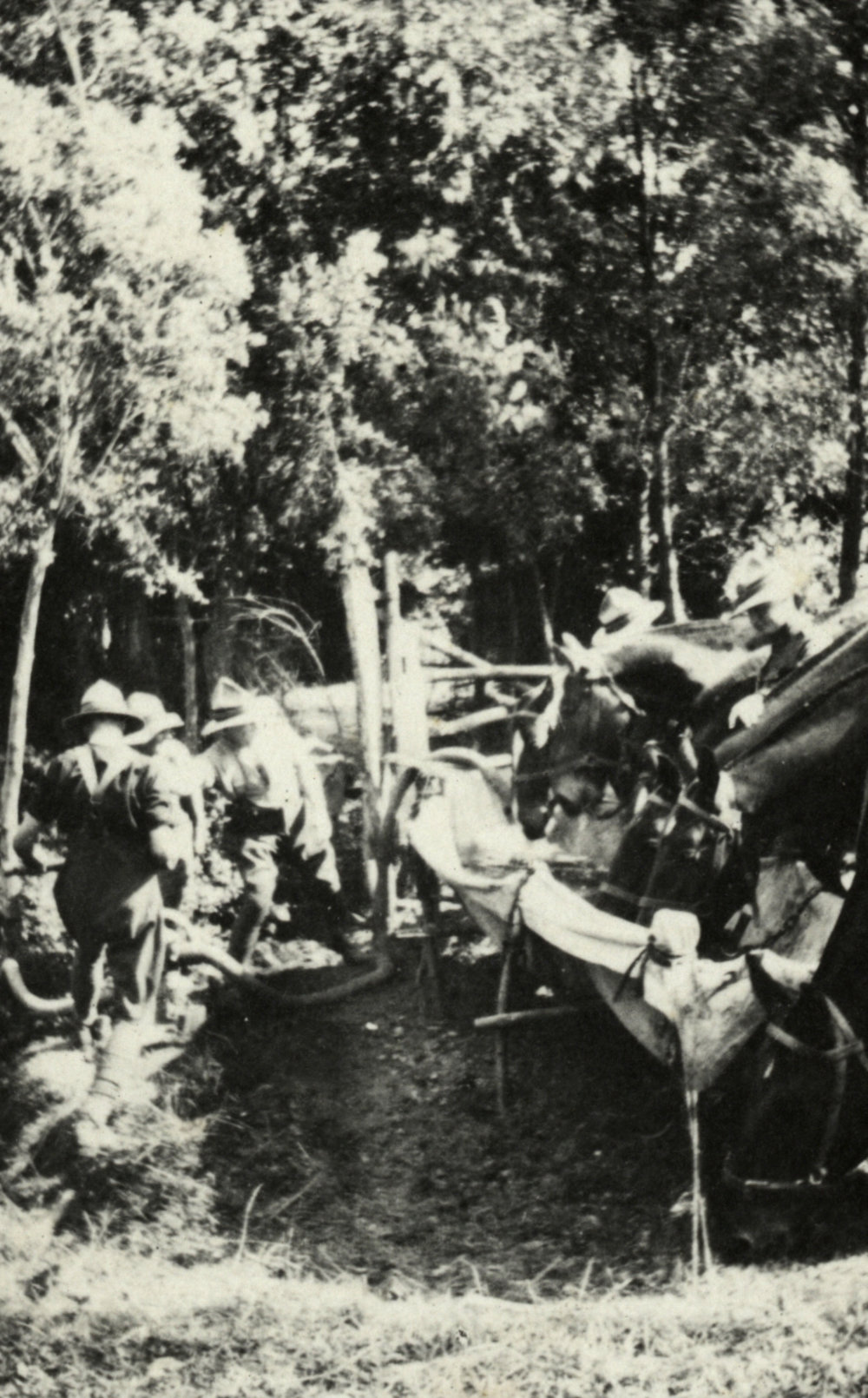 Photo from page 11 of album WWI Photograph Album - Western Front.