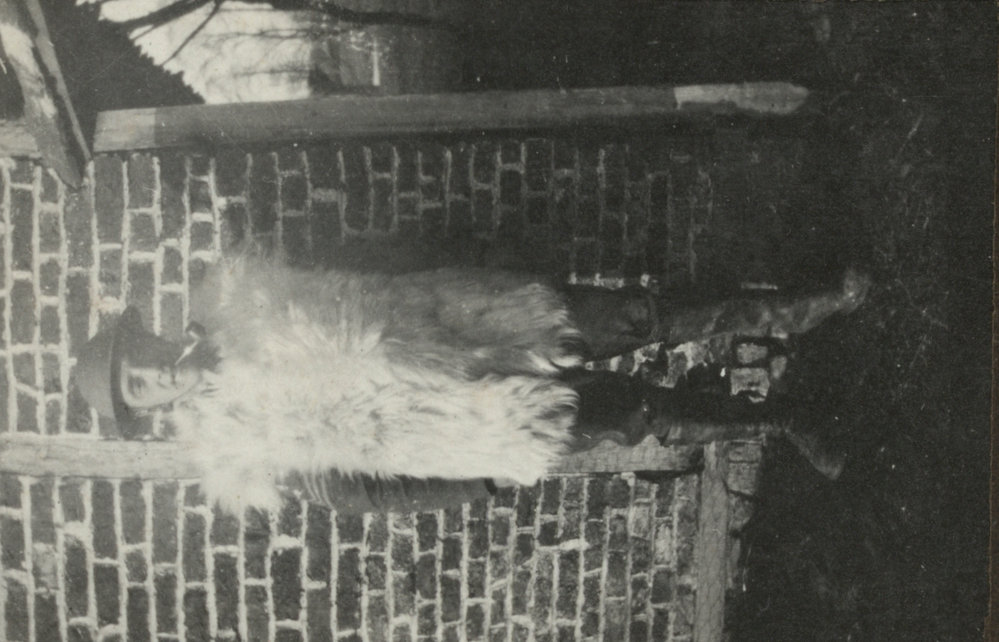 Photo from page 12 of album WWI Photograph Album - Western Front.