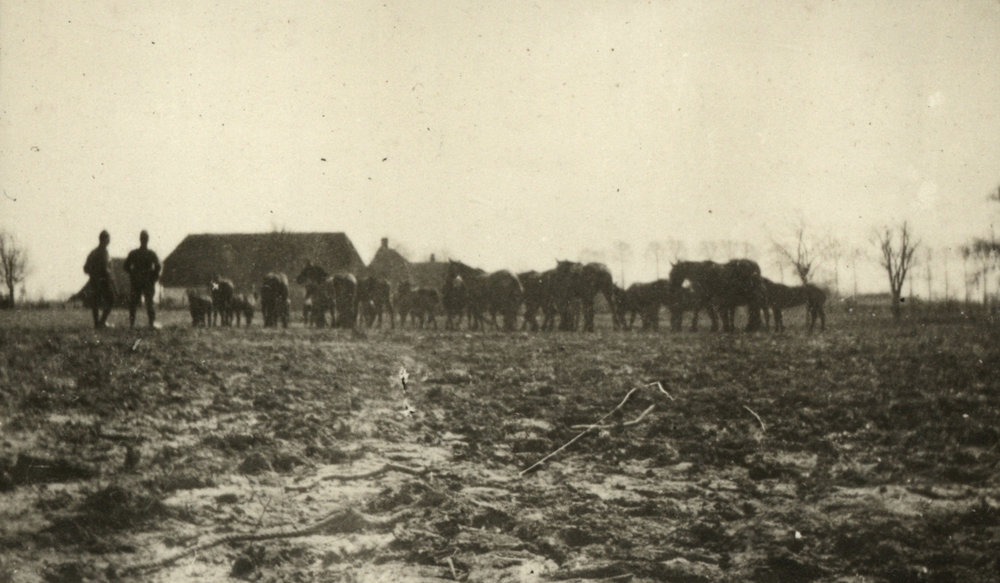 Photo from page 14 of album WWI Photograph Album - Western Front.