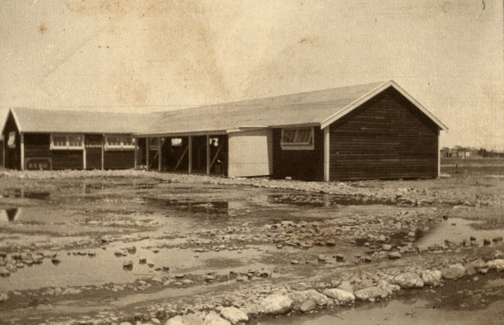 Photo from page 06 of album WWI Photograph Album - Tauherenikau Camp, New Zealand