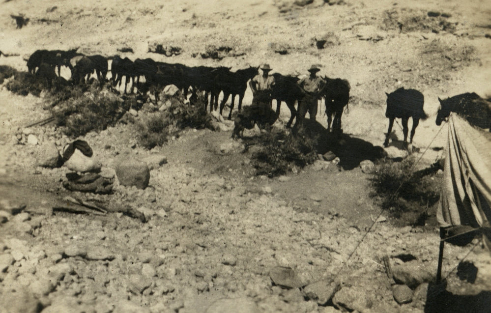 Photo from page 02 of album WWI Photograph Album - Egypt &amp; Sinai and Palestine.
